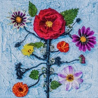 bouquet d'orties - EP - roolio