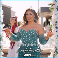 Lum Per Vjehrren Tem - Single - Endrita Aliu