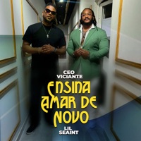 Ensina Amar de Novo - Single - ceo viciante & Lil Saint