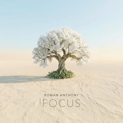 Focus - Single