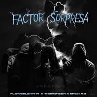 Factor sorpresa (feat. Erick R.G & 4ndromeda) - Single - FlowSelektha
