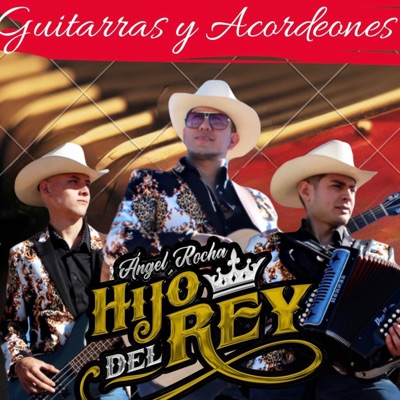 Guitarras y Acordeones