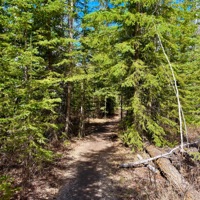 Greener Side - Single - Alex Tokarev