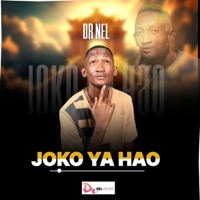 JOKO YA HAO (Original) - Single - Dr Nel