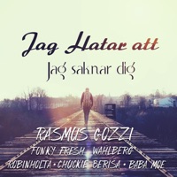 Jag Hatar Att Jag Saknar Dig (feat. Fonky Fresh, Baba Moe & Chuckie Berisa) - Single - Rasmus Gozzi, Wahlberg & Robinholta