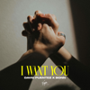 David Puentez & Bonn - I Want You  artwork