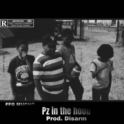 P'z in the hood (feat. Prod. Disarm) - Single