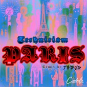 París artwork