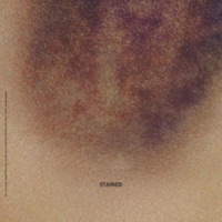 stained - Single - inssekt