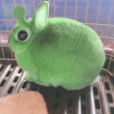 #SPACESHIPFREESTYLE - Single