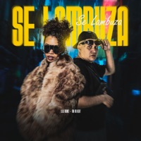 SE LAMBUZA - Single - Lily Nobre & MK no Beat