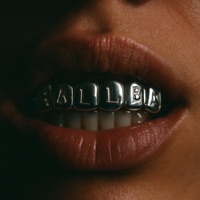 fallen. - Single - merlin