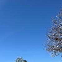 Keep the Light - Single - JayXTurbo