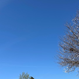 Keep the Light JayXTurbo