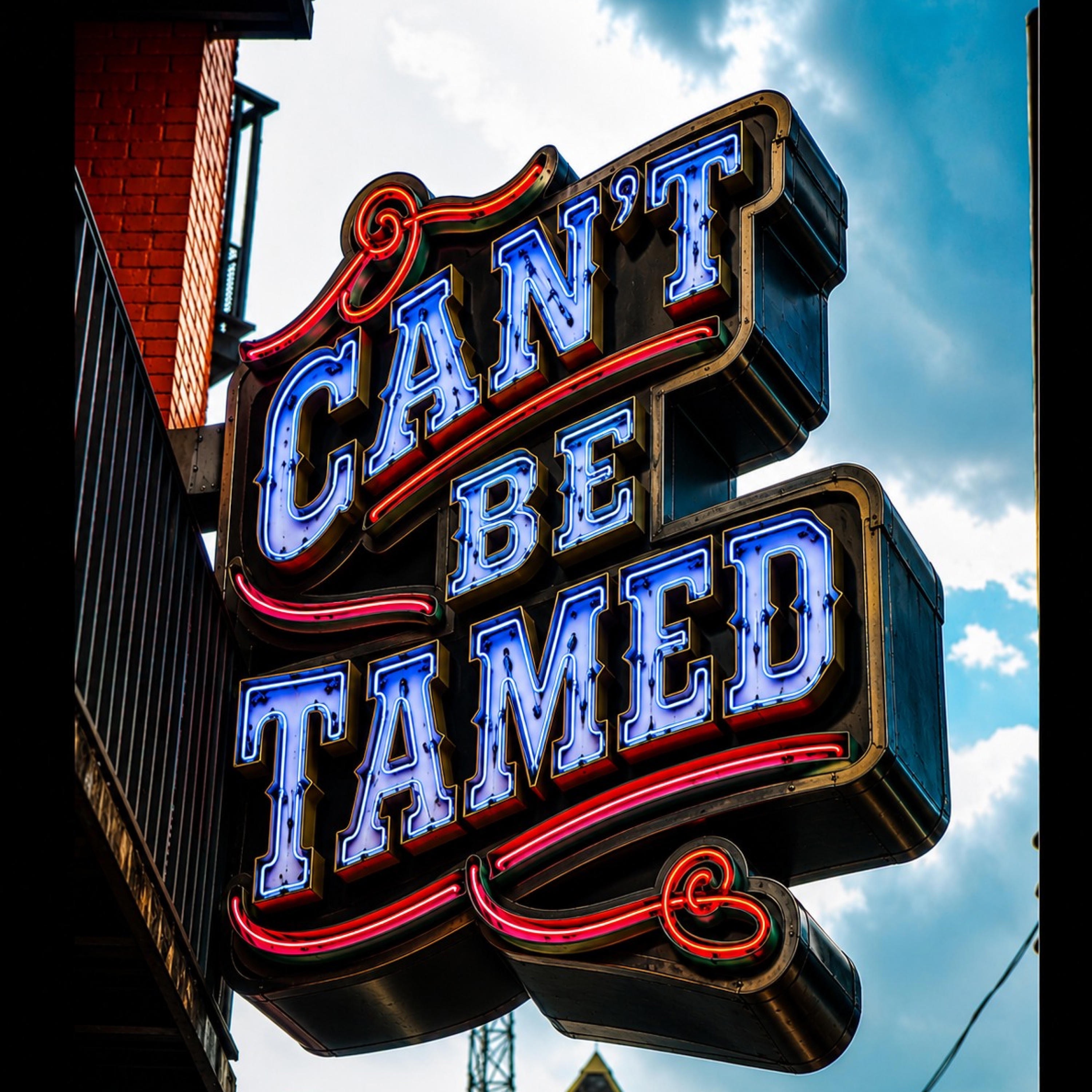 Can't Be Tamed - Single