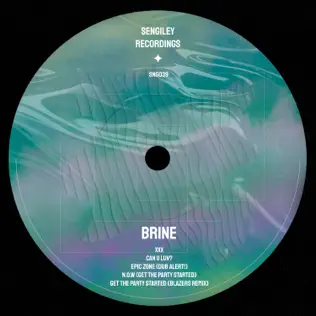 Brine - Get The Party Started (Blazers Remix) [2024]