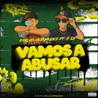 Vamos a abusar (G ice Remix Special Version) - Single - Karlos Hernandez