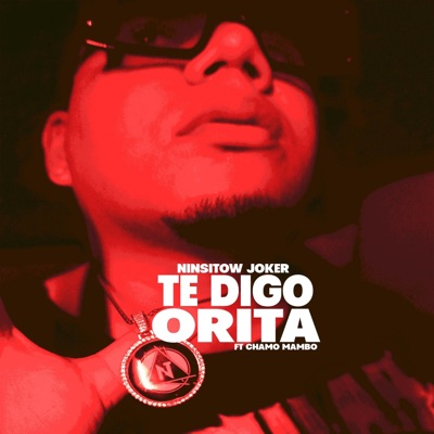 Te Digo orita (feat. Ninsitow Joker) - Single