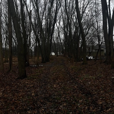 Evil Twin's (feat. wxlvzz) - EP