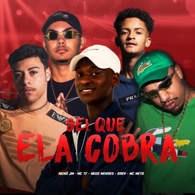 Sei Que Ela Cobra - Single