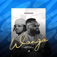 Wanga - Single - Papikid