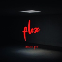 Flex - Single - Cauazin Priv