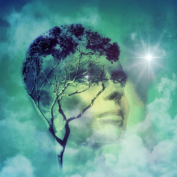 Awaken to Now Dissolve Thought, Become Awareness