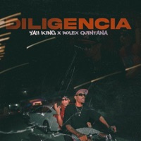 Diligencia (feat. Rolex Quintana) - Single - Yaii King