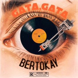 GATA,GATA Bertokay