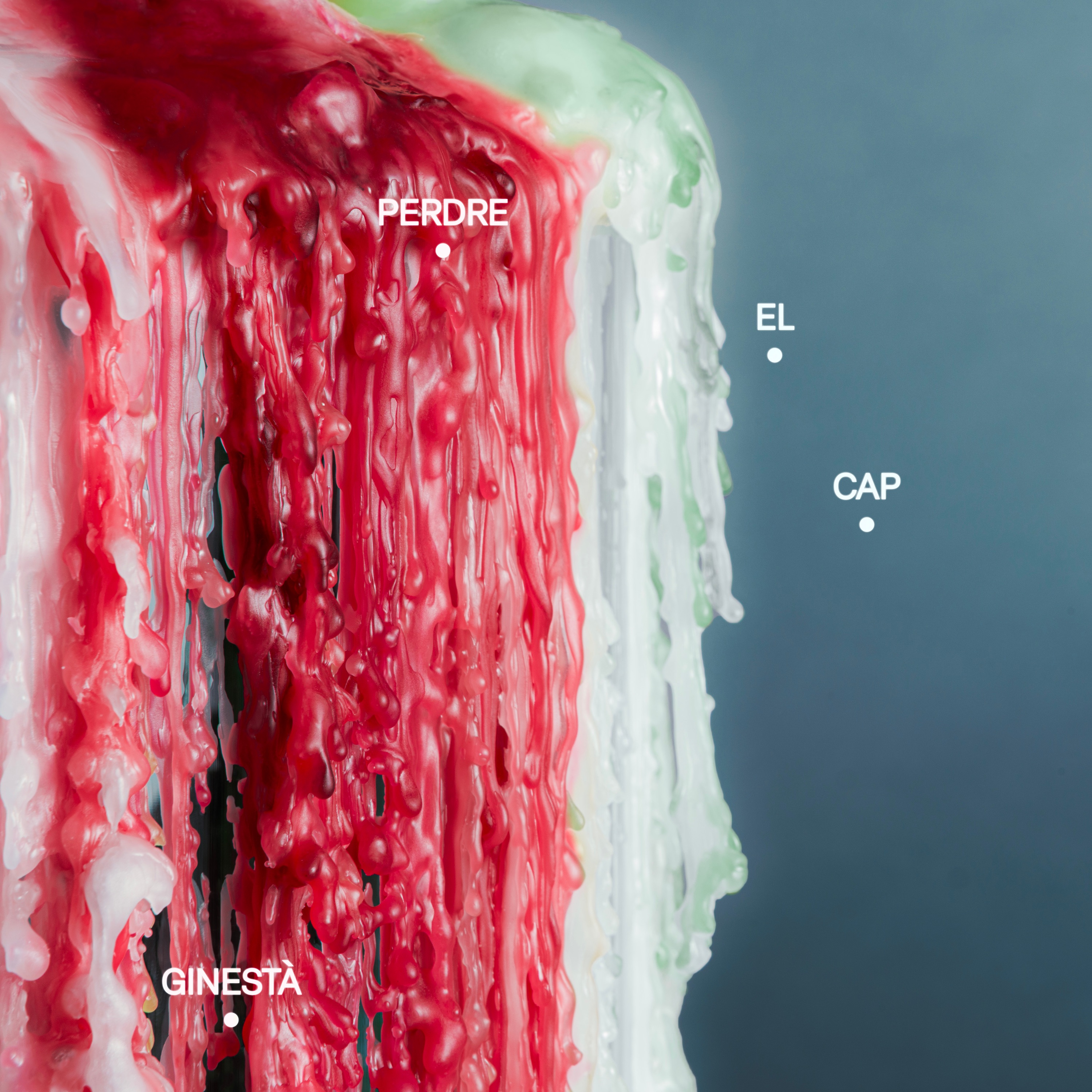 Perdre el cap - Single