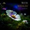 Mandragora (Sergey Oblomov Remix) - Moveton lyrics