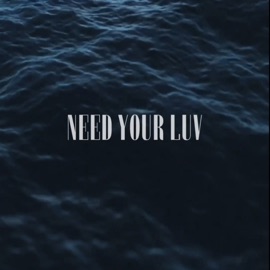 想要妳的愛 Vigoz Chen & Bk'