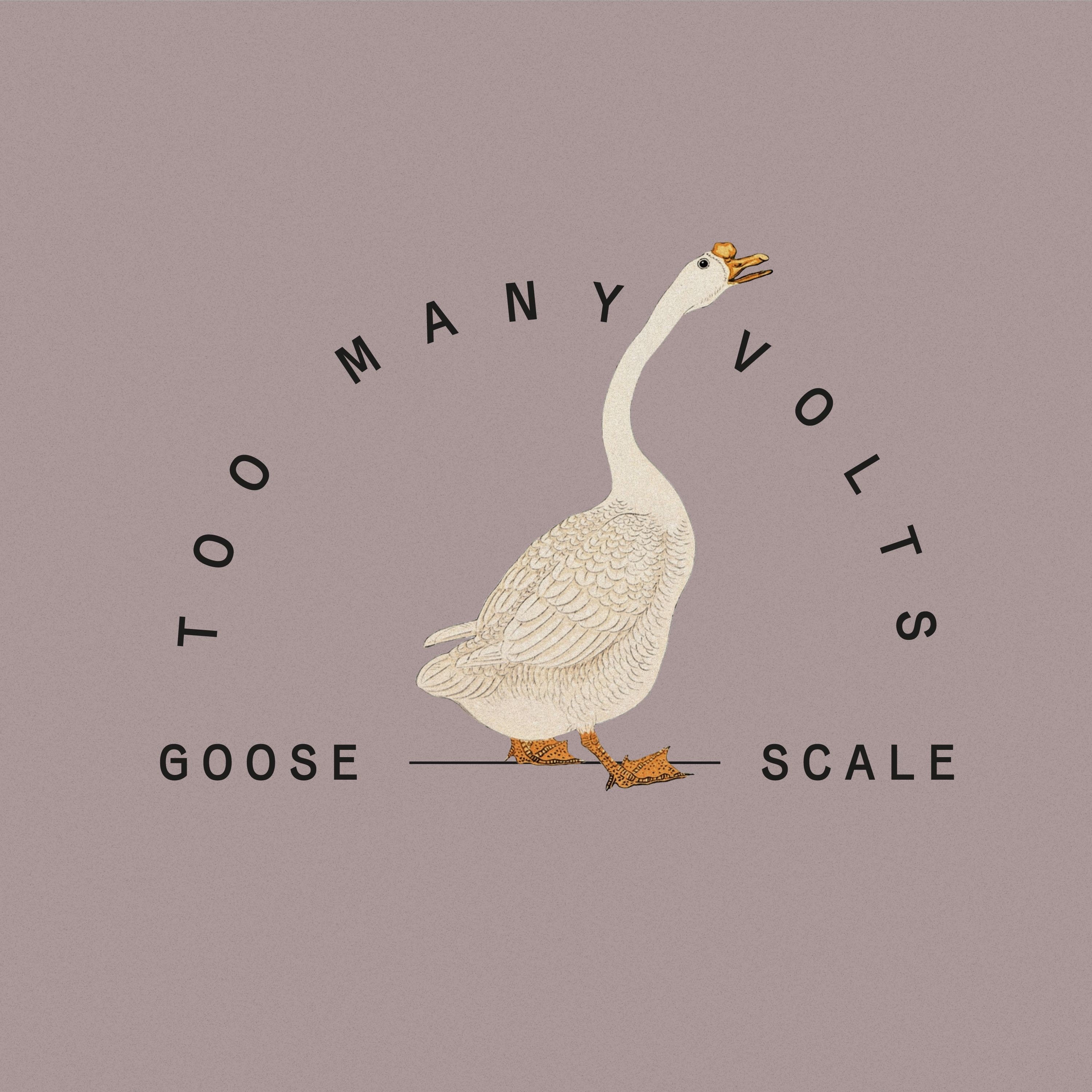 Goose Scale - EP