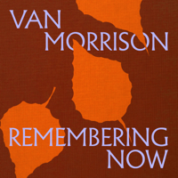 Down To Joy - Van Morrison Cover Art