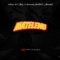 MATELENU (feat. Skillful & Bandek) - Single - Chris Abbey