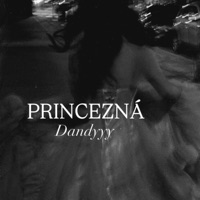 Princezná - Single - Dandyyy