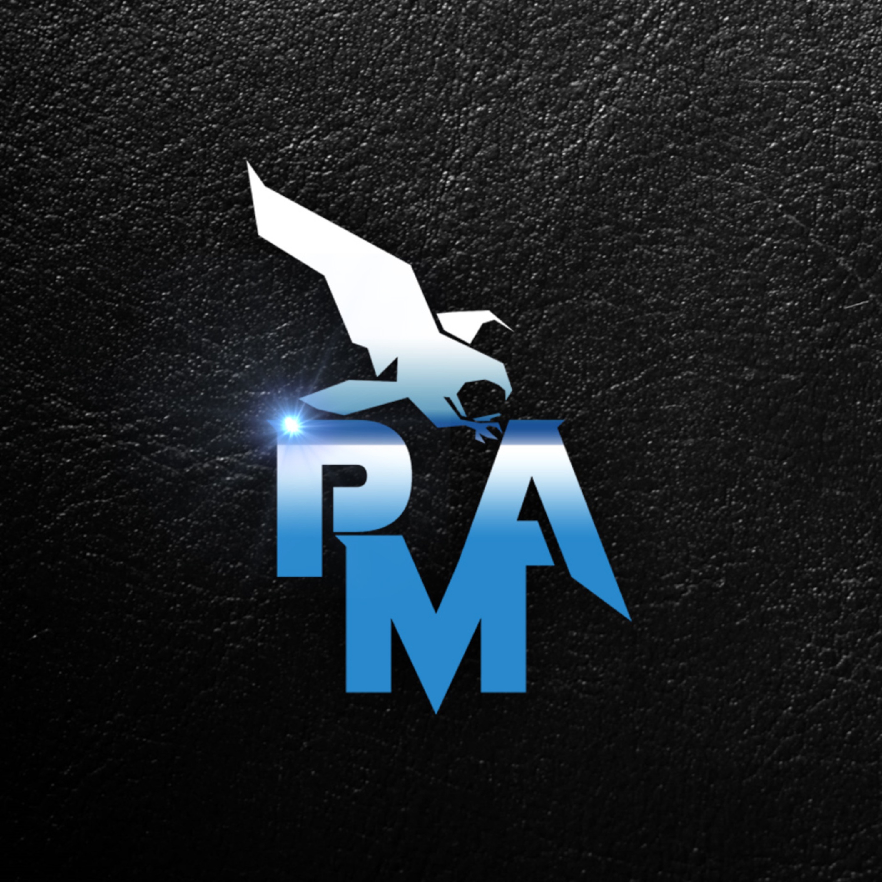 Polish Metal Alliance - EP