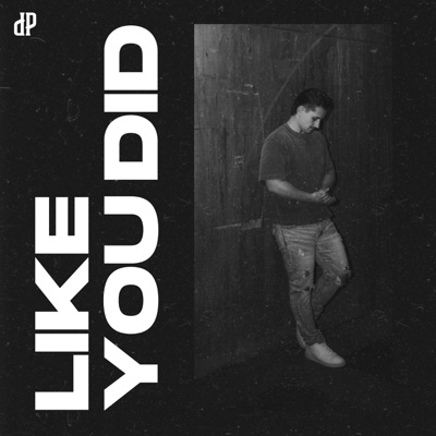 Like You Did - Single