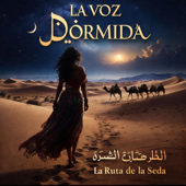 La Ruta de la Seda song art