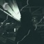 Cabriolet - Single