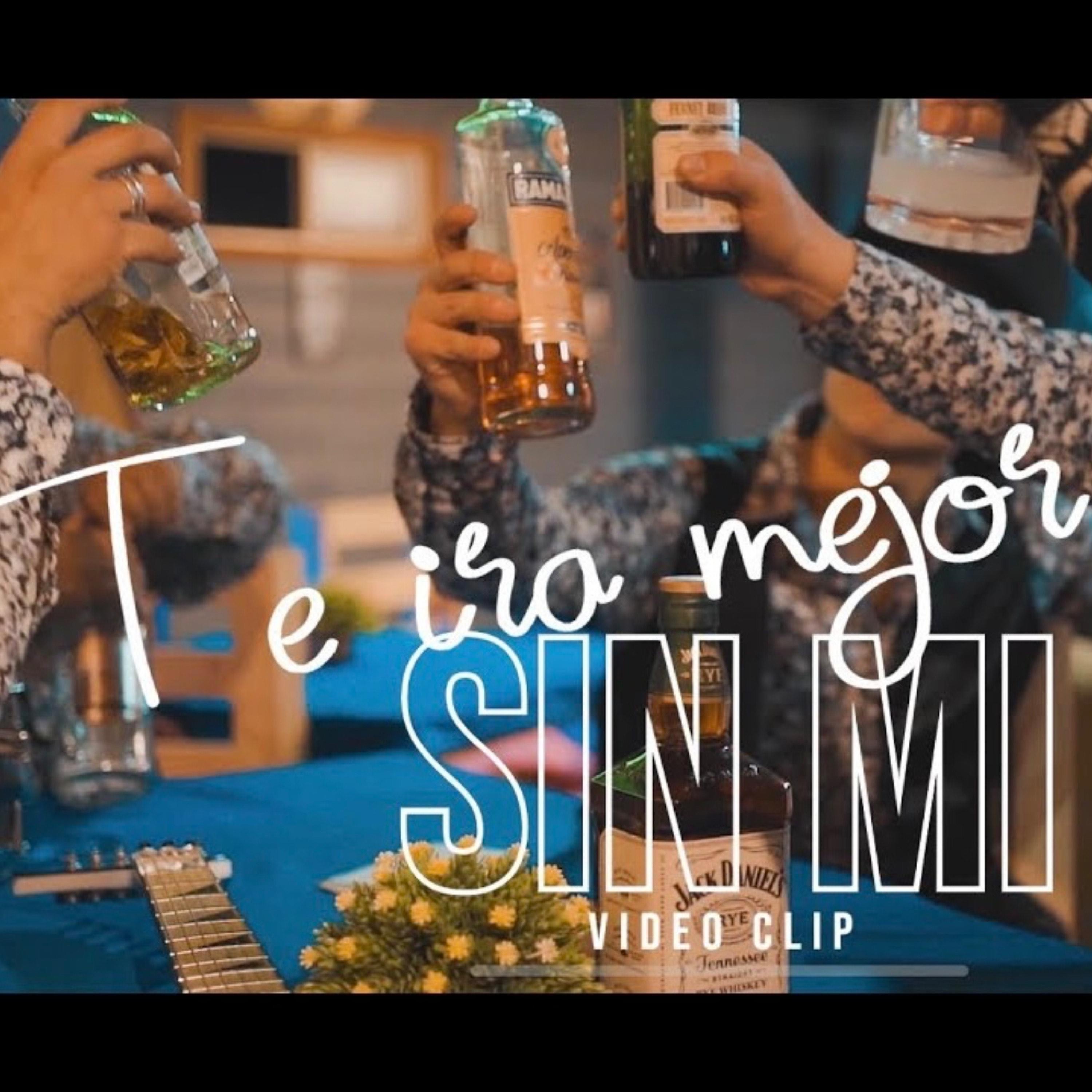 Te ira mejor sin mi - Single