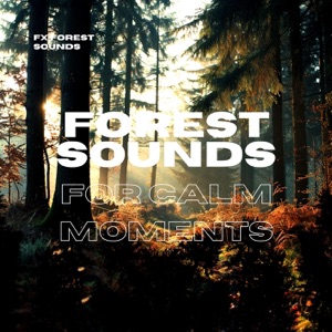 Forest Sounds for Calm Moments