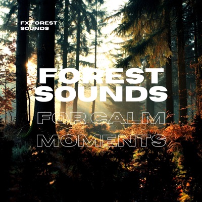 Forest Sounds for Calm Moments