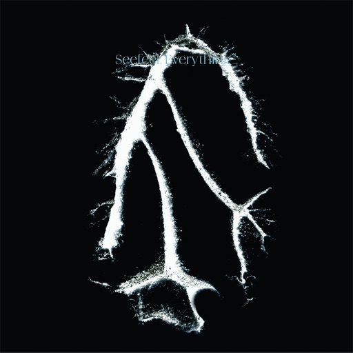 Album artwork