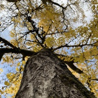 Uh uh (feat. brix) - Single - missingno.