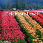 Celebrate Level - Single