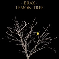 Lemon Tree - Single - Brax