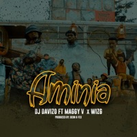 Aminia (feat. MaggyV & Wiz g) - Single - Dj Davizo