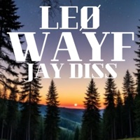 WAYF (feat. LEØ) - Single - Jay Diss