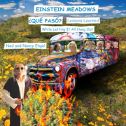 Einstein Meadows ¿Qué Paso?: Lessons Learned While Letting It All Hang Out (Unabridged)